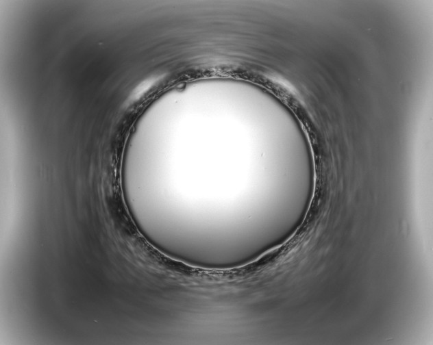 X0000086910871200704301035