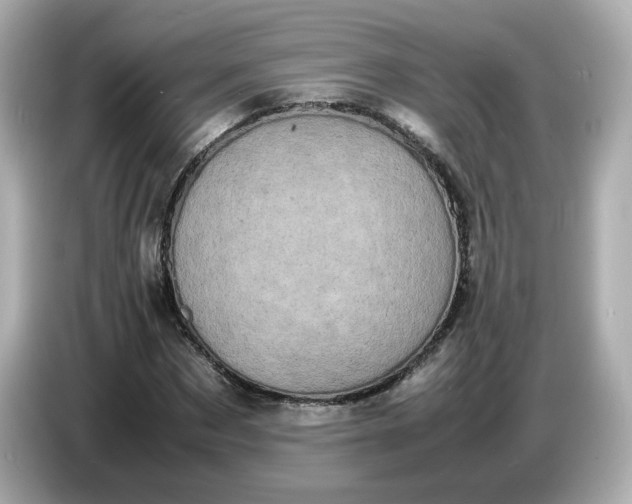 X0000086910873200704301035