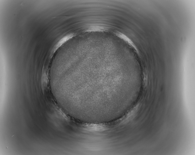 X0000086910874200704301035