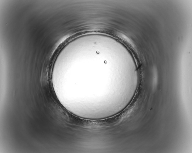 X0000086910875200704301035