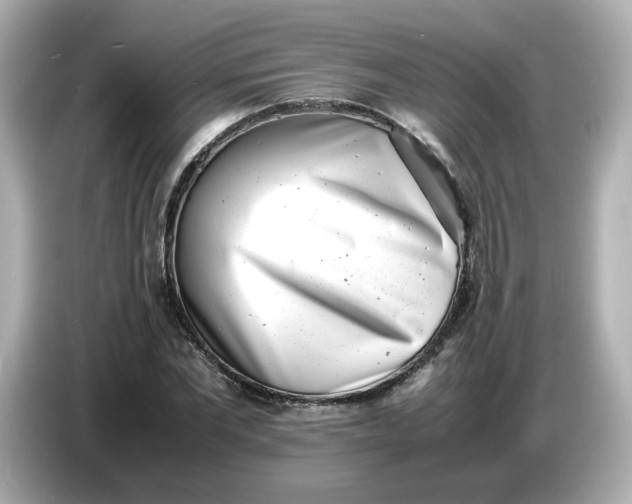 X0000086910877200704301035