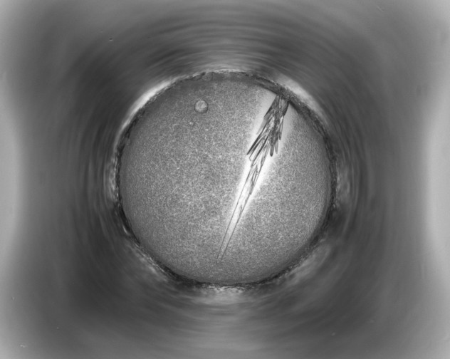 X0000086910878200704301035