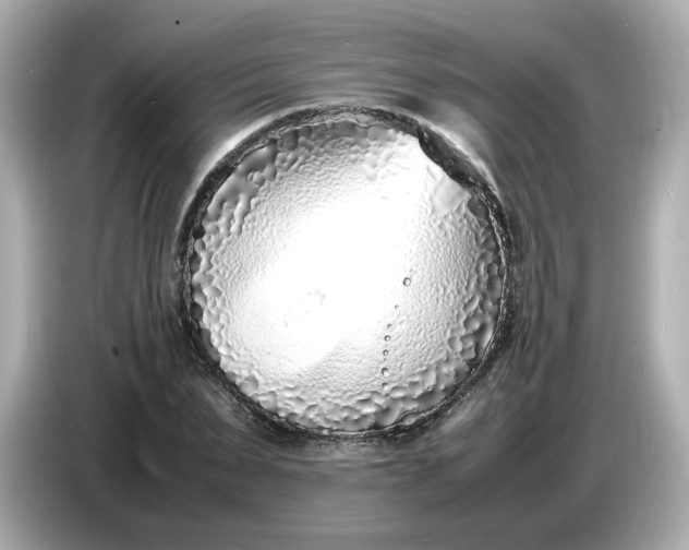 X0000086910879200704301035