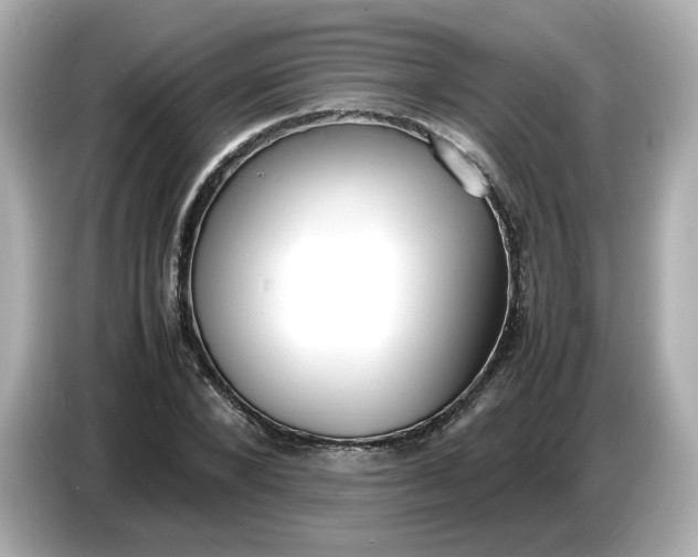 X0000086910880200704301035