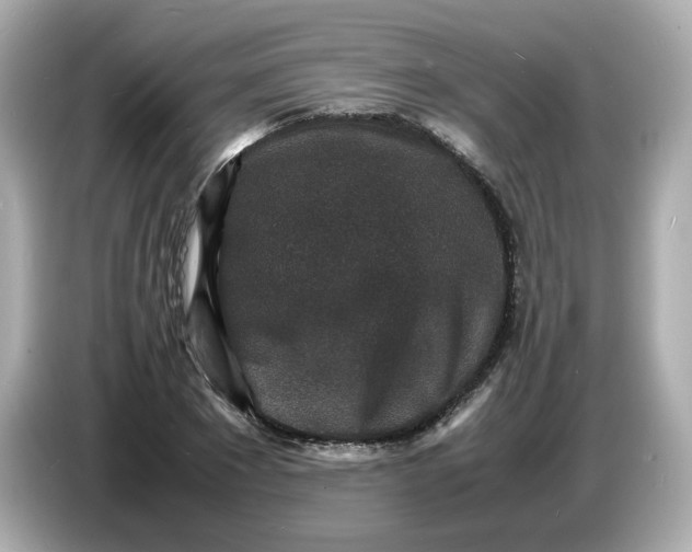 X0000086910881200704301035