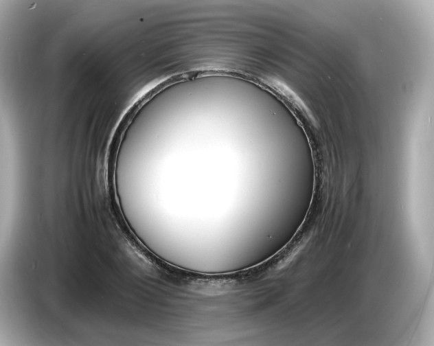 X0000086910884200704301035