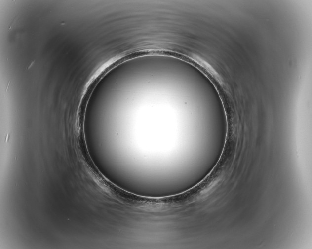 X0000086910885200704301035