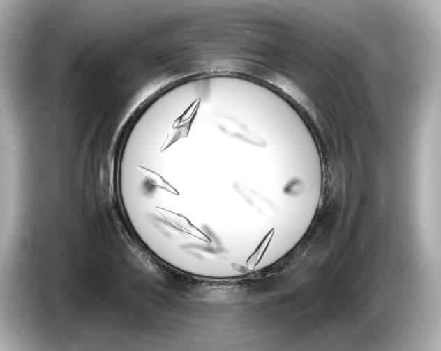 X0000086910886200704301035