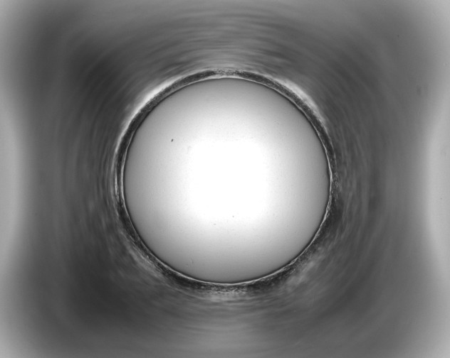 X0000086910887200704301035