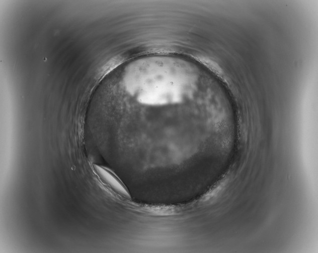 X0000086910889200704301035