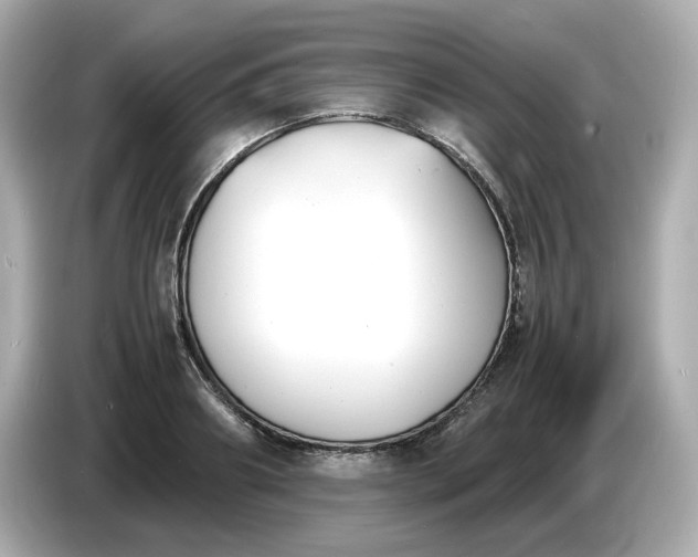 X0000086910890200704301035