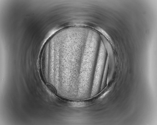 X0000086910893200704301035