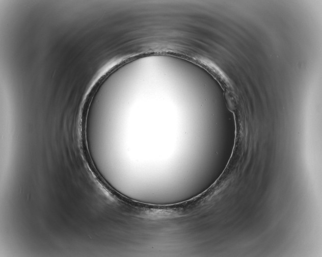 X0000086910894200704301035