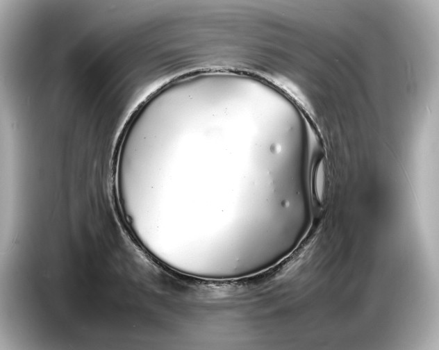 X0000086910895200704301035