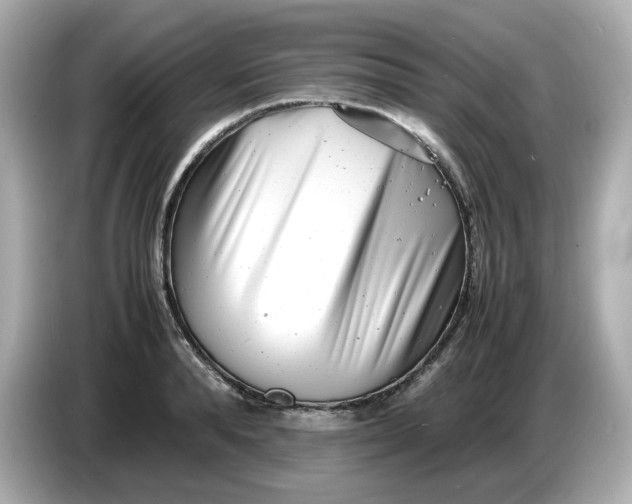 X0000086910896200704301035