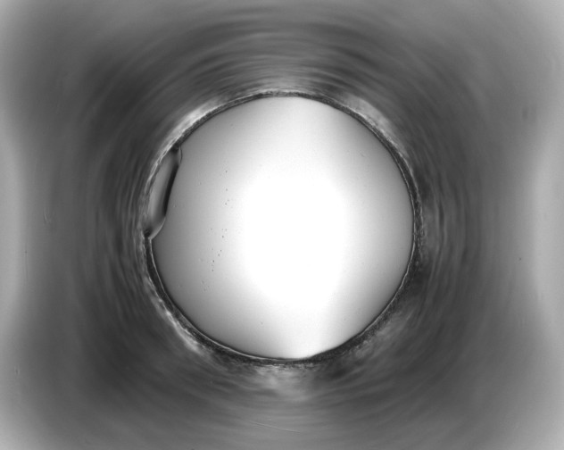 X0000086910898200704301035