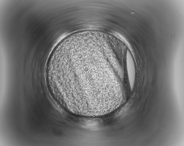 X0000086910899200704301035