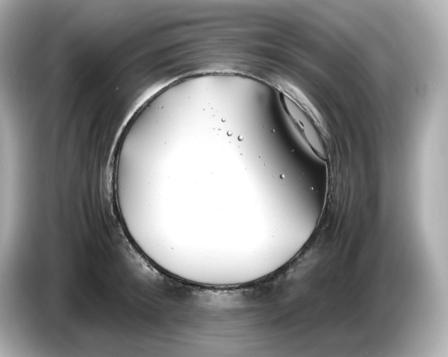 X0000086910900200704301035