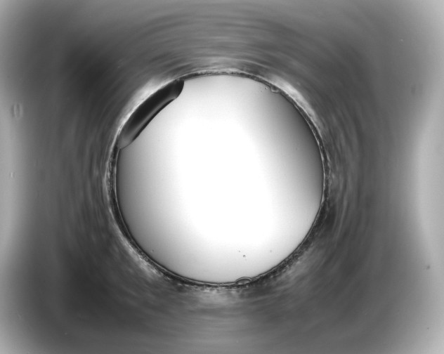 X0000086910901200704301035