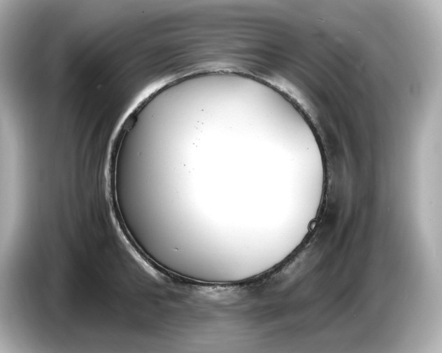 X0000086910902200704301035