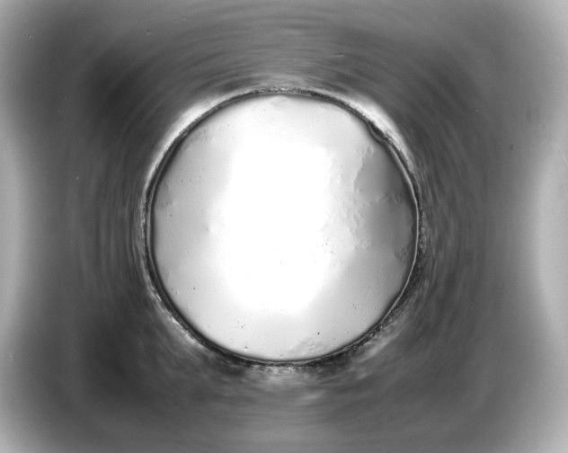 X0000086910903200704301035