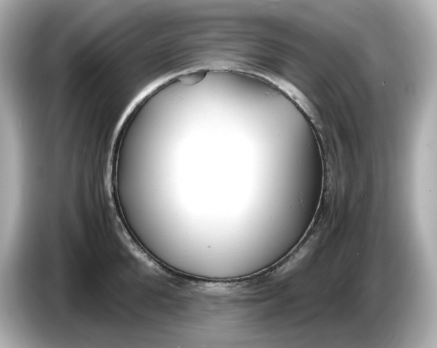 X0000086910904200704301035