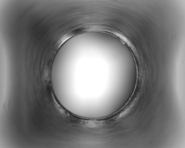 X0000086910905200704301035