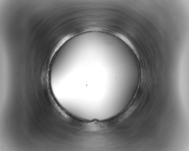 X0000086910906200704301035