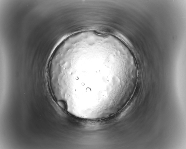 X0000086910907200704301035