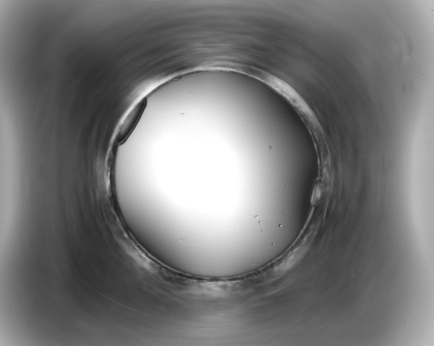 X0000086910908200704301035