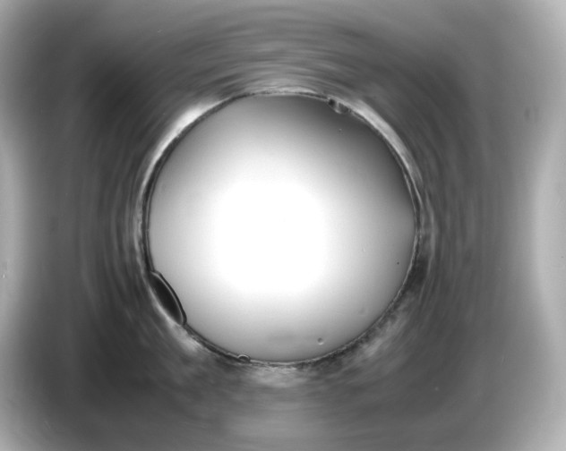 X0000086910909200704301035