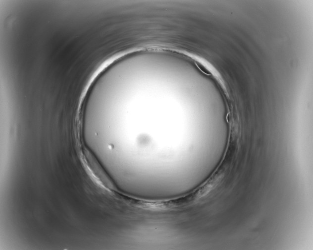 X0000086910911200704301035