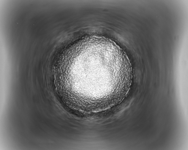 X0000086910913200704301034