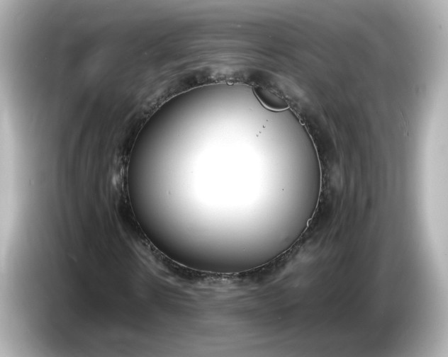 X0000086910914200704301034