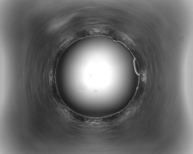 X0000086910915200704301034