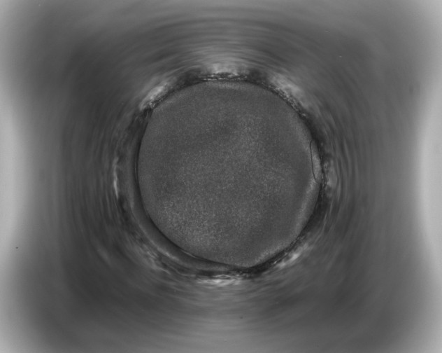 X0000086910916200704301034