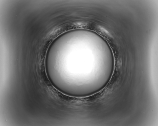 X0000086910917200704301034