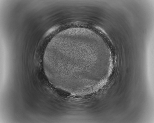 X0000086910919200704301034