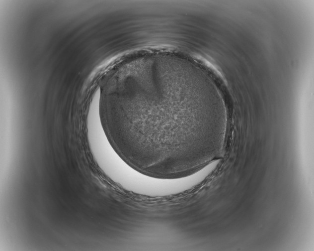 X0000086910920200704301034