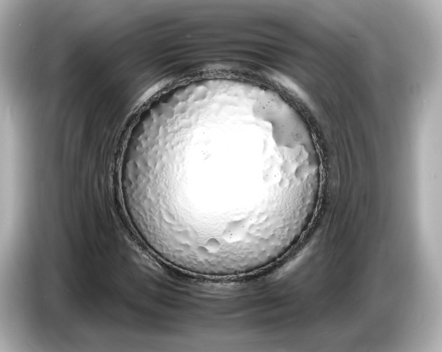 X0000086910921200704301034