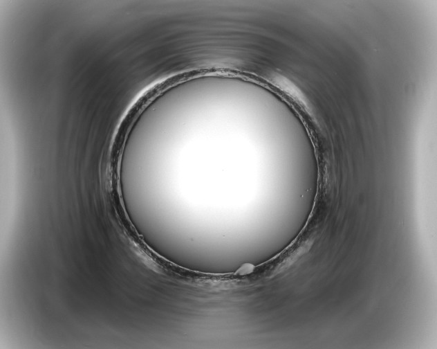 X0000086910924200704301034