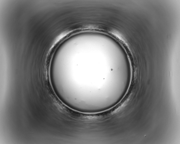 X0000086910925200704301034