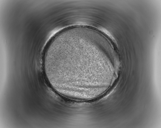 X0000086910926200704301034