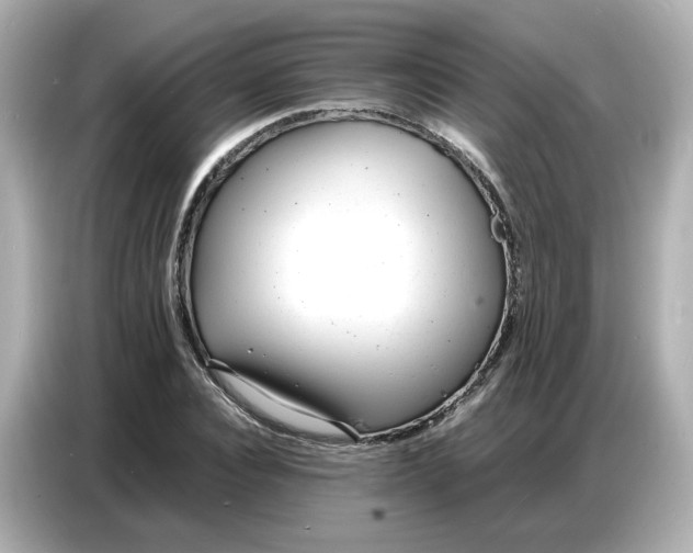 X0000086910928200704301034