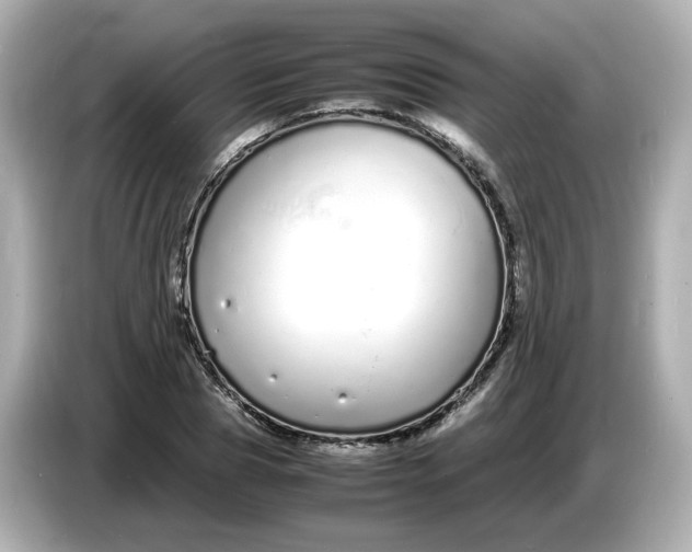 X0000086910929200704301034