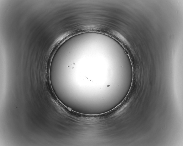 X0000086910930200704301034