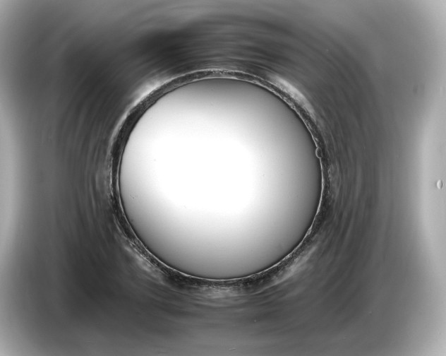 X0000086910931200704301034