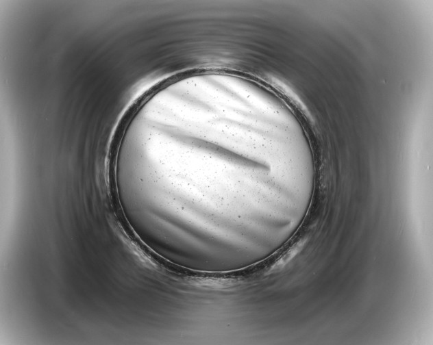 X0000086910932200704301034