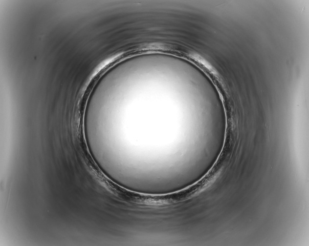 X0000086910933200704301034