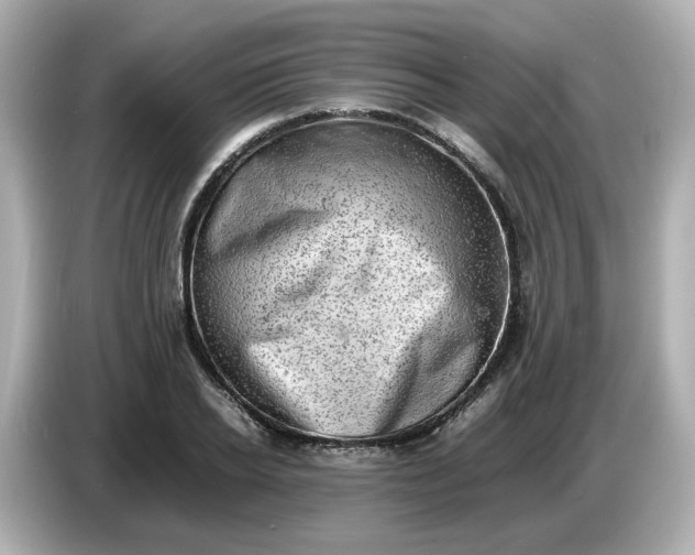 X0000086910934200704301034